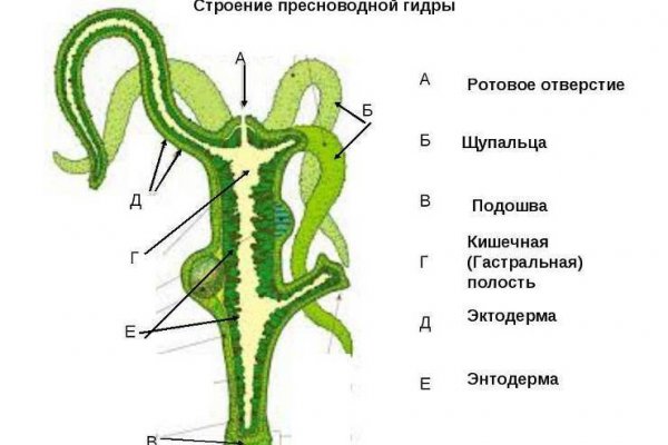 Зеркало кракен дарк