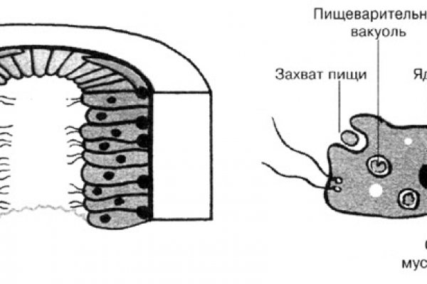 Kraken ссылка зеркало рабочее