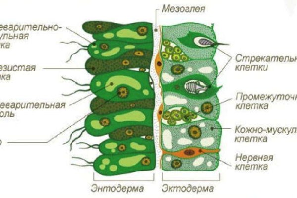 Кракен даркнет маркет зеркала